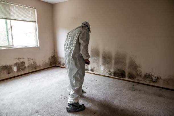 Best Real Estate Mold Inspection  in Oak Ridge North, TX